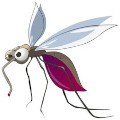 Huile essentielle contre les moustiques