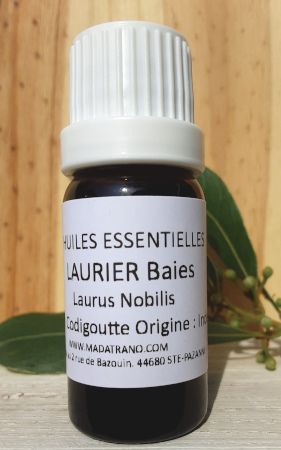 Laurier noble Baies Huile Essentielle