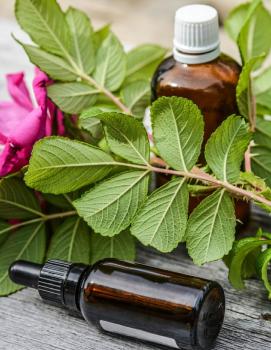 Guide des Huiles Essentielles : Tout savoir sur l'Aromathérapie - Blog  Couleur Chanvre