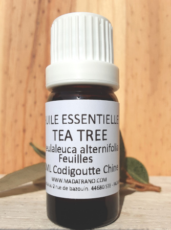 Arbre à thé Huile Essentielle  (Tea Tree)
