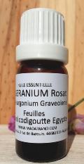Geranium rosat Huile Essentielle 