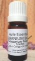 Geranium Bourbon Huile Essentielle 