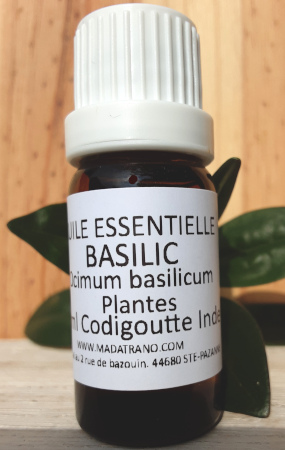 Basilic Huile Essentielle 