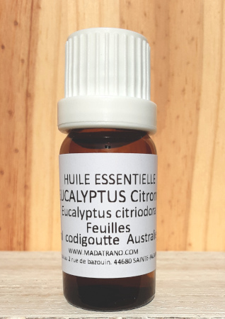 Eucalyptus Citronn Huile Essentielle Conseils et Utilisations