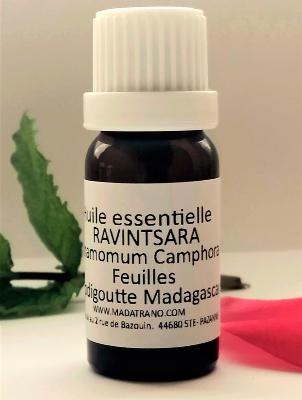 Ravintsara Huile Essentielle Conseils et Utilisation