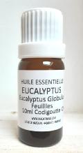Eucalyptus Globulus Huile Essentielle 