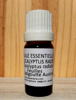 Eucalyptus radié huile essentielle madatrano