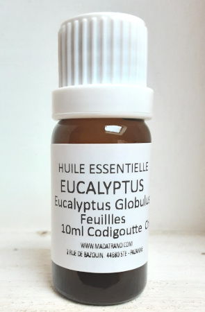 Eucalyptus Globulus Huile Essentielle 