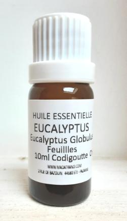 Eucalyptus Globulus Huile Essentielle 